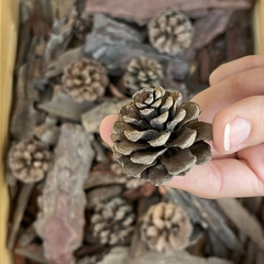 PIQTU MADERA en internet