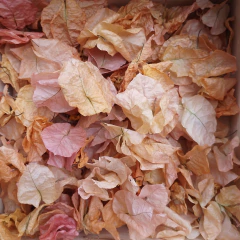 LAQHI PÉTALOS DE ROSA