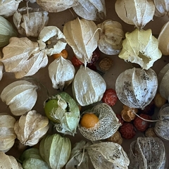 Imagen de LAQHI MBURUCUYÁ