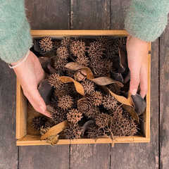 PIQTU OTROS FRUTOS DEL BOSQUE - Tienda Estacional