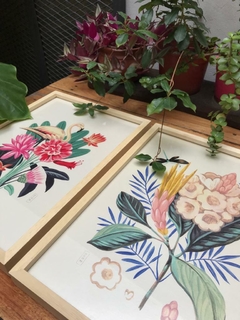Bouquet flamingo - tienda lucilismo