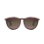 Anteojo de Sol Rusty - ZION SDEMI-DGUN/DRT POL