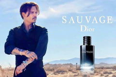 SAUVAGE EDT x 100 ml - comprar online