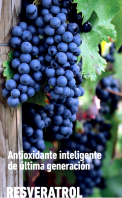 Resveratrol + Vitamina E + Vitamina H - Reino de la Miel - comprar online