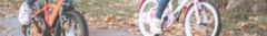 Banner de la categoría Rodado 20