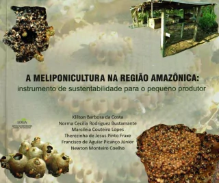 A meliponicultura na região Amazônica: instrumento de sustentabilidade para o pequeno produtor