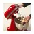 KITCHENAID RSKM150PSRER BATIDORA PLANET ROJO (2250) - Artefactos Exclusivos