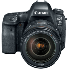 Canon 6D Mark II EF 24-105mm f/4L IS II USM