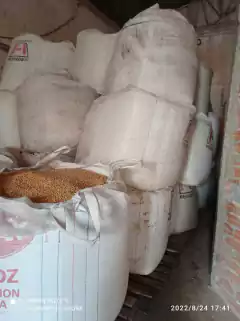 LOTE DE MILHO EM GRÃOS - 35.580KG - comprar online