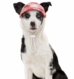 GORRA MALVA - comprar online