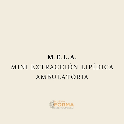 MELA (Mini Lipo)