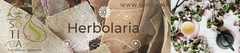 Banner de la categoría Planta Sola