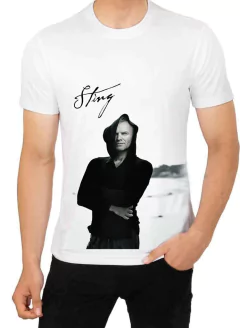 Playera o Camisetas Sudadera Sting