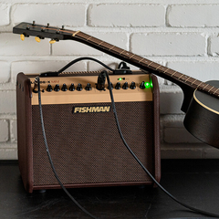 Imagen de FISHMAN PRO-LBX-AU5 AMPLIFICADOR PARA GUITARRA ACUSTICA LOUDBOX MINI 60W