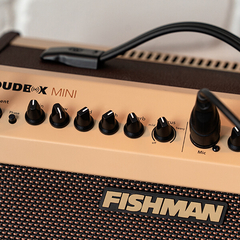 FISHMAN PRO-LBX-AU5 AMPLIFICADOR PARA GUITARRA ACUSTICA LOUDBOX MINI 60W - tienda online