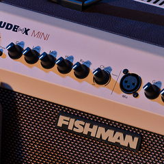 FISHMAN PRO-LBX-AU5 AMPLIFICADOR PARA GUITARRA ACUSTICA LOUDBOX MINI 60W - Lead Music