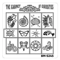 Bundle Monster Nail Art Stamping Plates- BM-S245