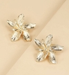Aros Lola