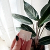 Argollas cubic blanco