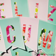 COMBO BANDERIN + CARTEL + ADORNO TORTA + MINI TOPPERS (TEMÁTICA A ELECCIÓN) en internet