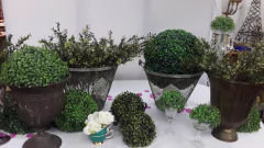 ALQUILER FLORES Y FRUTAS ARTIFICIALES en internet