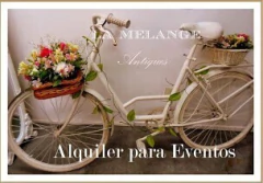 ALQUILER FLORES Y FRUTAS ARTIFICIALES - comprar online