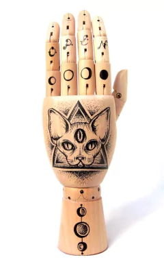 Sphynx Cat Tat-a-Hand