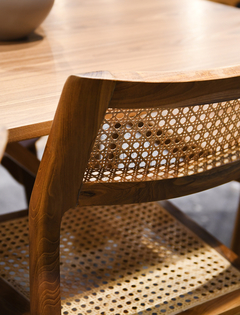 Silla Panida Teka - MLIA16 - comprar online