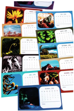 Calendario de escritorio con estuche - tienda online