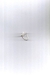 Anillo AGNÈS