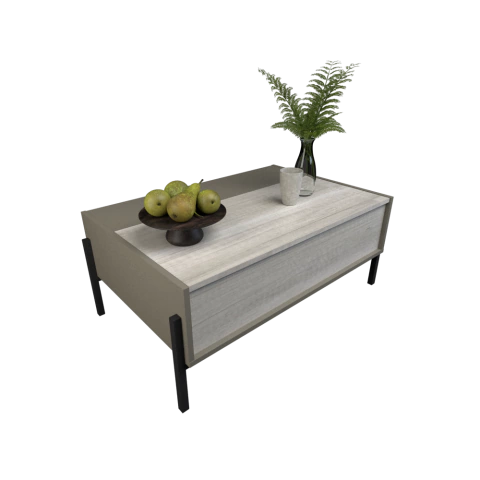 Mesa de centro con Puerta #2023 - Tables Local - tienda online