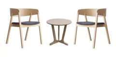Set 2 Silla Sillón C/ Apoyabrazos + Mesa Ratona Escandinavo