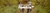 Imagem do banner rotativo Muwiz