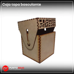 Caja tapa basculante en internet