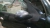 Peugeot 1.4 - loja online