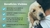 AGILITY GOLD PRESCRIPTION EN (ENTERICO) Lata 360 grms - comprar online