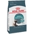 ROYAL CANIN FELINE HAIRBALL CARE 2.72 kg - comprar online