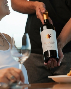 CLOS DE LOS SIETE 2020 MICHELE ROLLAND 94 PTS JAMES SUCKLING - libare vinos