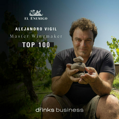 EL ENEMIGO CABERNET FRANC 750 cc - libare vinos