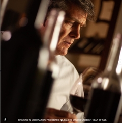 LUIGI BOSCA DE SANGRE MALBEC DOC 750 cc en internet