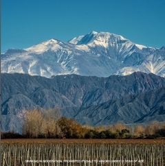 LUIGI BOSCA DE SANGRE MALBEC DOC 750 cc - libare vinos