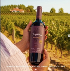 LUIGI BOSCA DE SANGRE MALBEC DOC 750 cc - comprar online