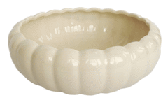 Cuenco tilo en internet