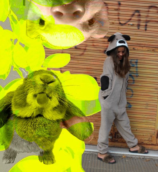 ANIMALES