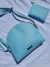 Cartera Palermo Celeste en internet