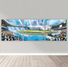 Cuadros Tripticos Regular Racing Club Campeón Trofeo de Campeones 2022 #81