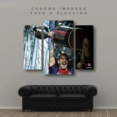 Cuadros Trípticos Irregulares San Lorenzo #25