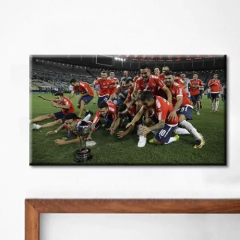 Cuadro Rectangular - Indpendiente Campón de la Sudamericana - comprar online