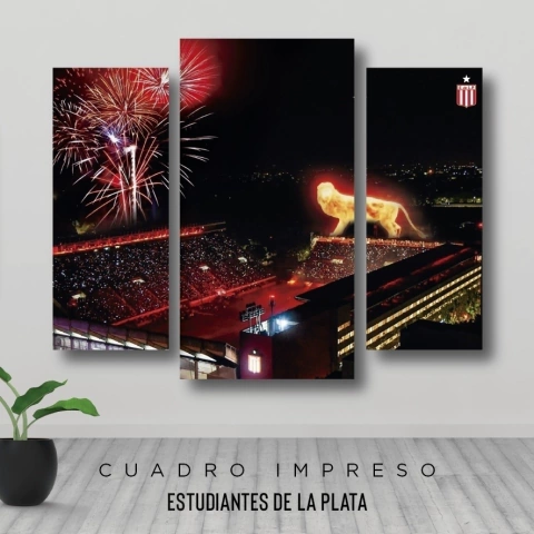 Cuadro Triptico Irregular Estudiantes de la Plata León