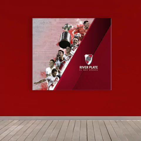 Cuadro River Plate Campeón 18